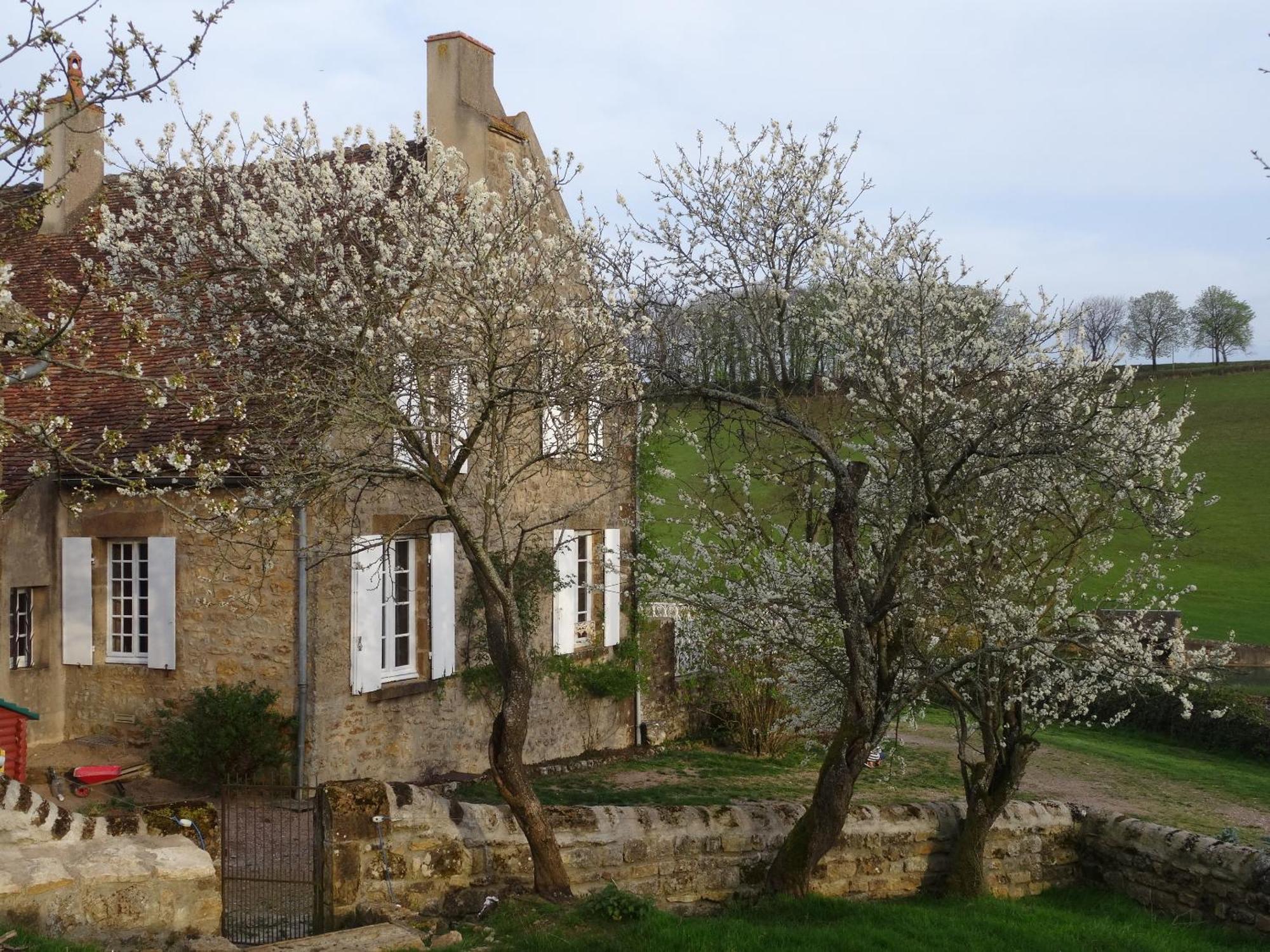 Bed and Breakfast Domaine de Drémont Anthien Esterno foto