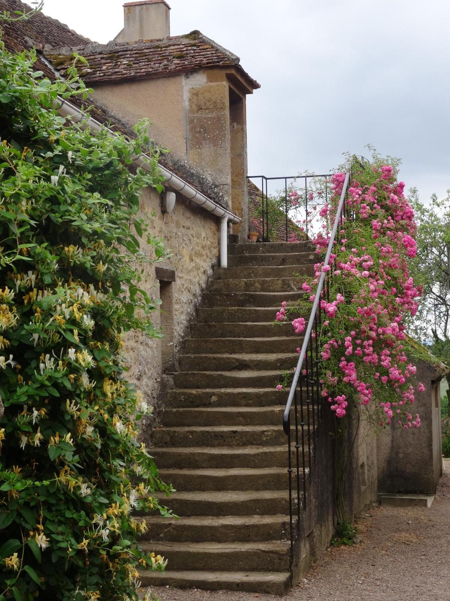 Bed and Breakfast Domaine de Drémont Anthien Esterno foto