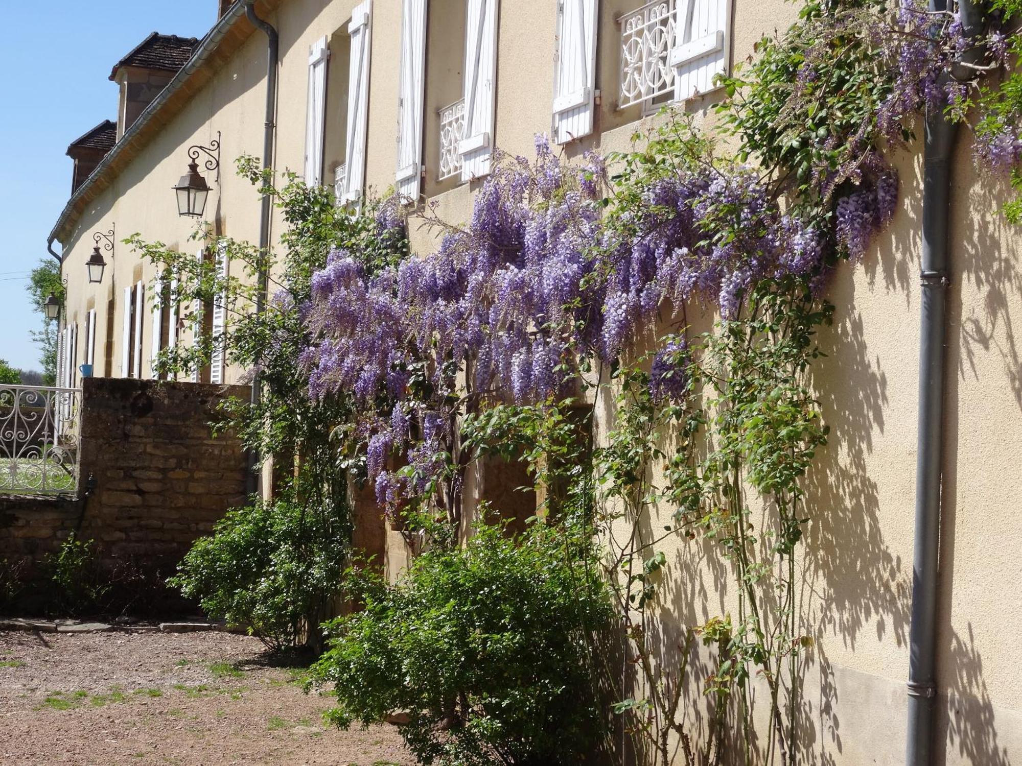 Bed and Breakfast Domaine de Drémont Anthien Esterno foto