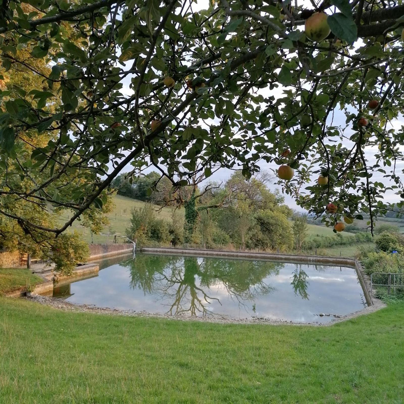 Bed and Breakfast Domaine de Drémont Anthien Esterno foto